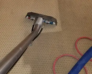 Carpet being professionally cleaned