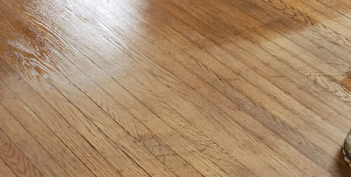 hardwood floor being treated